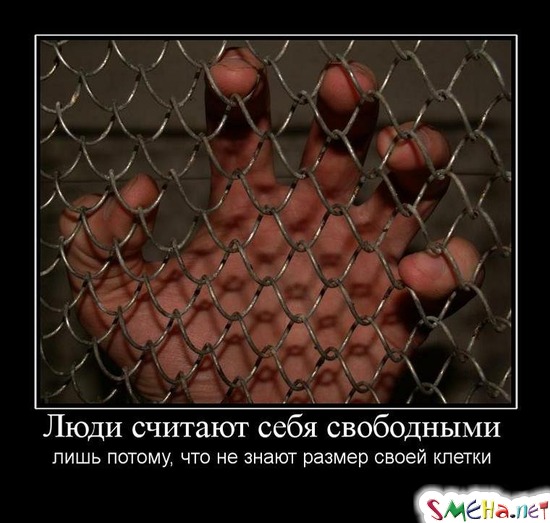 Люди считают себя свободными - лишь потому, что не знают размер своей клетки
