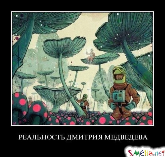 РЕАЛЬНОСТЬ ДМИТРИЯ МЕДВЕДЕВА