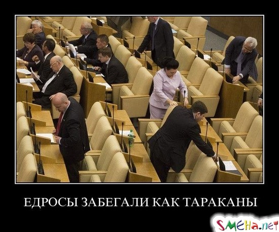 ЕДРОСЫ ЗАБЕГАЛИ КАК ТАРАКАНЫ