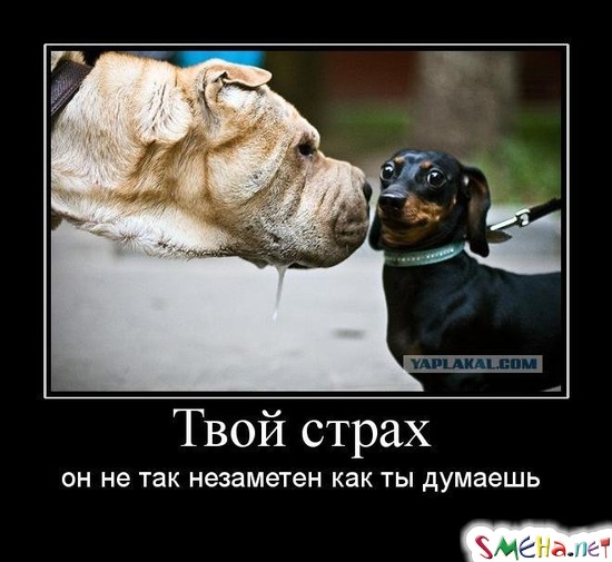 Твой страх - он не так незаметен как ты думаешь