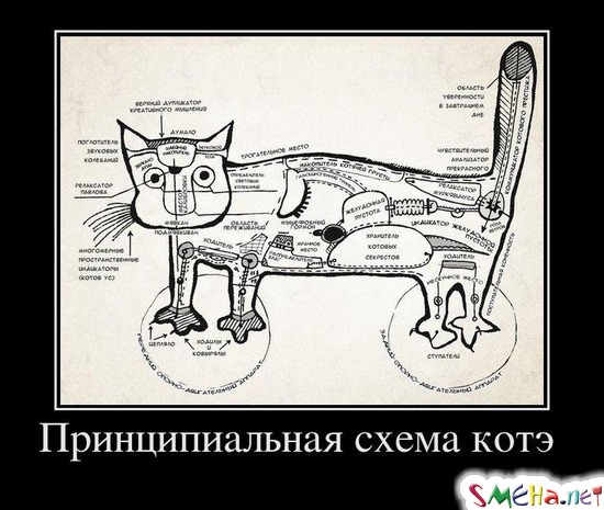 Принципиальная схема котэ