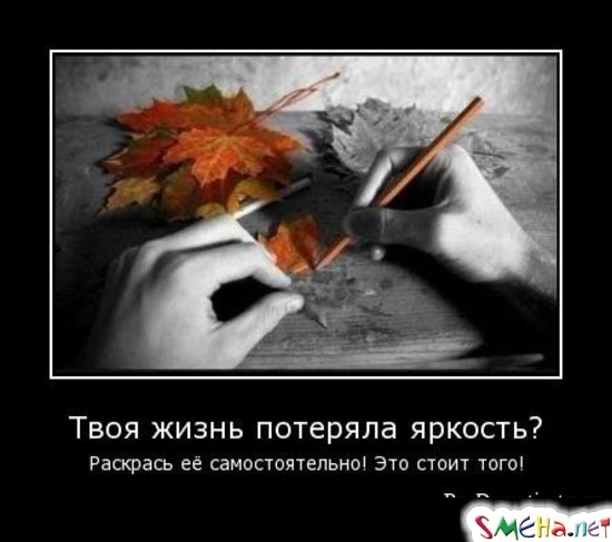 Твоя жизнь потеряла яркость? - Раскрась её самостоятельно! Это стоит того!
