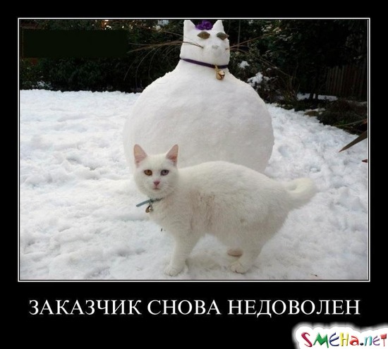 ЗАКАЗЧИК СНОВА НЕДОВОЛЕН
