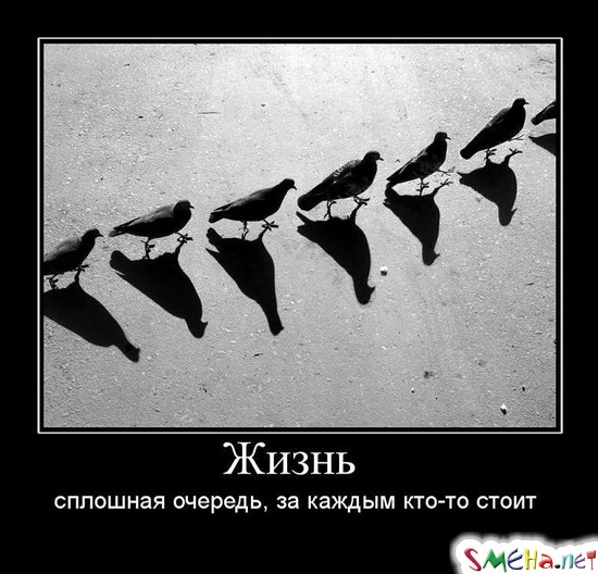 Жизнь - сплошная очередь, за каждым кто-то стоит