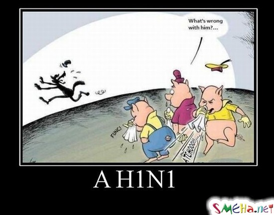 AH1N1