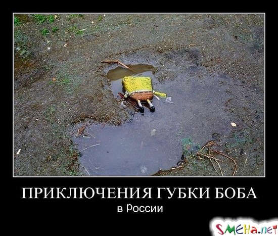 ПРИКЛЮЧЕНИЯ ГУБКИ БОБА - в России