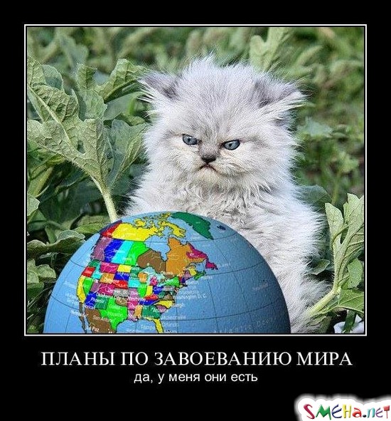 ПЛАНЫ ПО ЗАВОЕВАНИЮ МИРА - да, у меня они есть