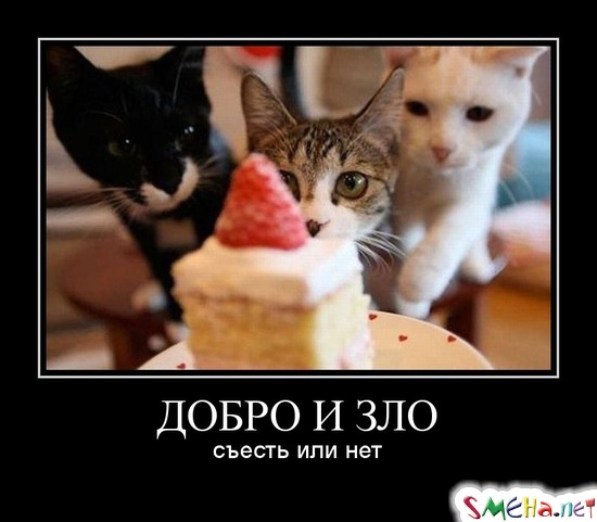 ДОБРО И ЗЛО - съесть или нет