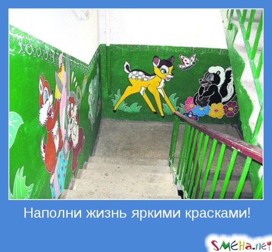 Наполни жизнь яркими красками!