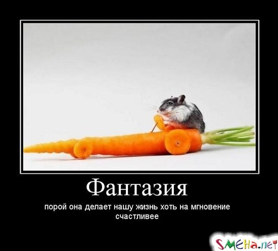 Фантазия - порой она делает нашу жизнь на мнгновение счастливее