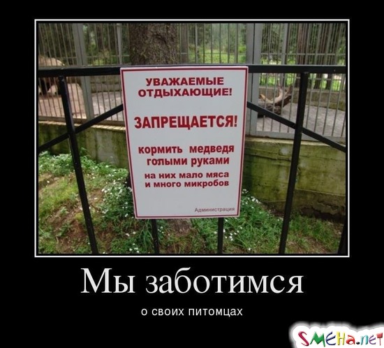 Мы заботимся о своих питомцах