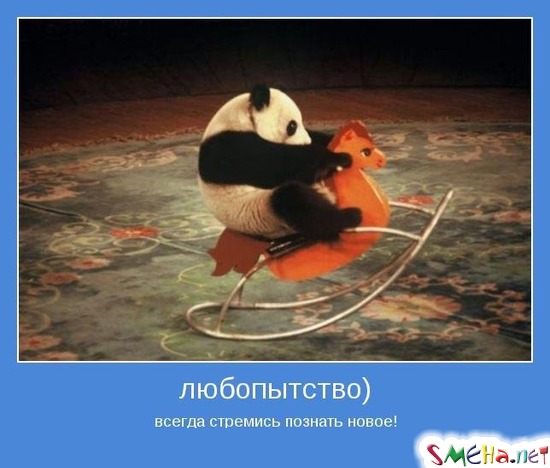любопытство) - всегда стремись познать новое!