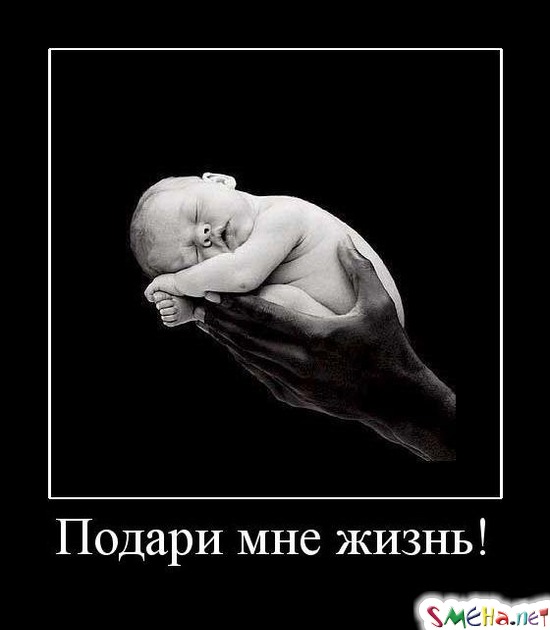 Подари мне жизнь!