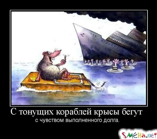 С тонущих кораблей крысы бегут  с чувством выполненного долга.