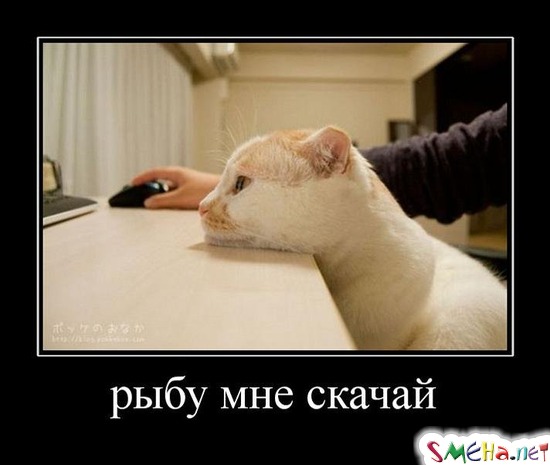 рыбу мне скачай