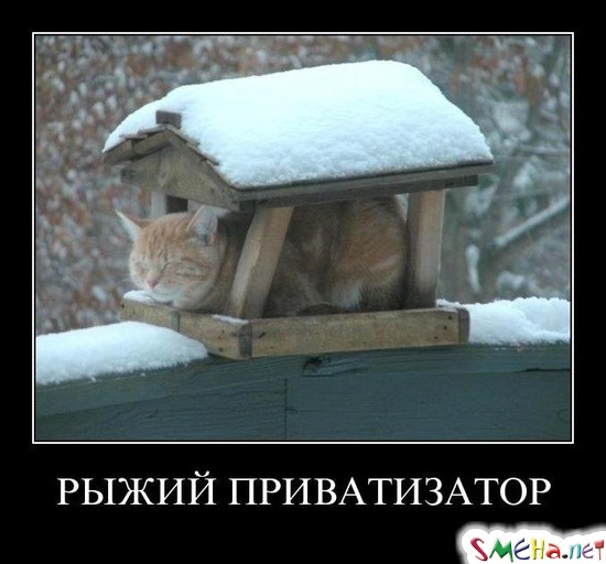 РЫЖИЙ ПРИВАТИЗАТОР