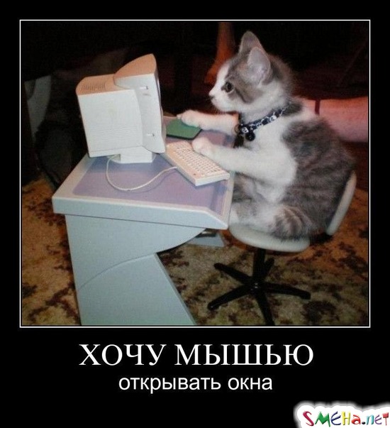 ХОЧУ МЫШЬЮ - открывать окна