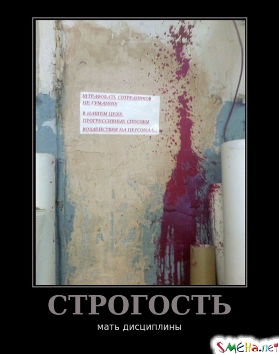 СТРОГОСТЬ - мать дисциплины
