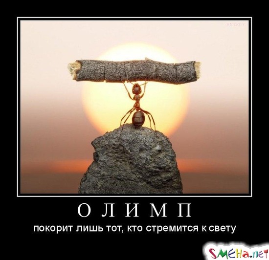 ОЛИМП - покорит лишь тот, кто стремится к свету