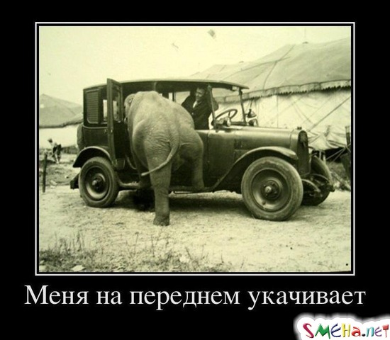 Меня на переднем укачивает