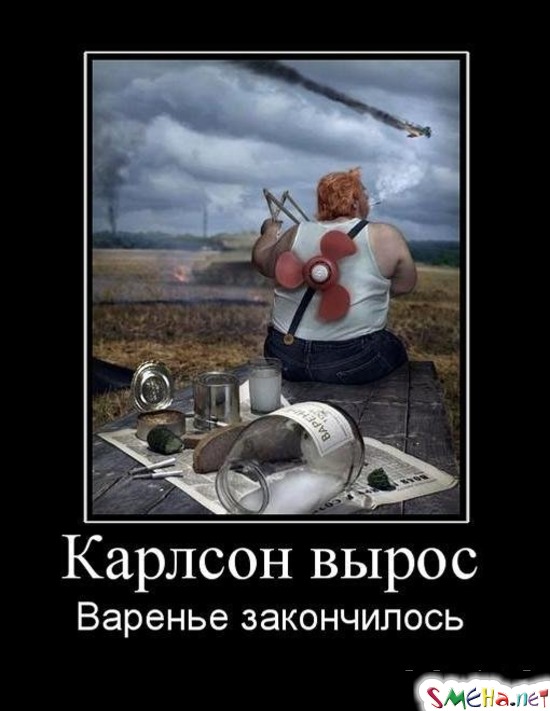 Карлсон вырос - Варенье закончилось