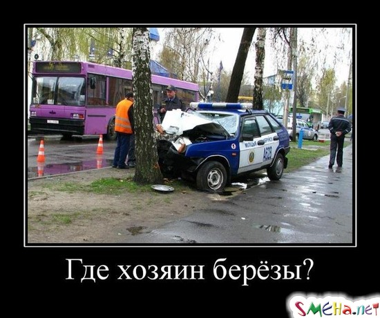 Гдe xoзяин бepёзы?