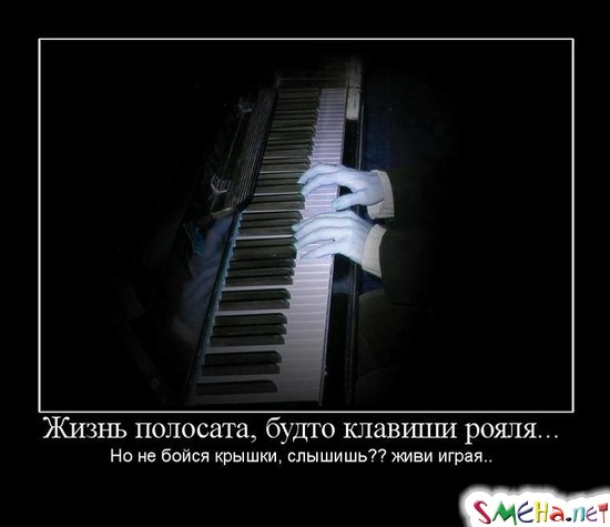 Жизнь полосата, будто клавиши рояля... - Но не бойся крышки, слышишь?? живи играя..