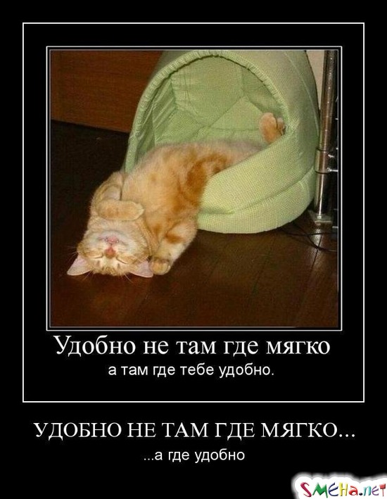 УДОБНО НЕ ТАМ ГДЕ МЯГКО... - ...а где удобно