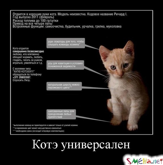 Котэ универсален