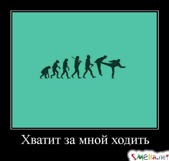 Хватит за мной ходить