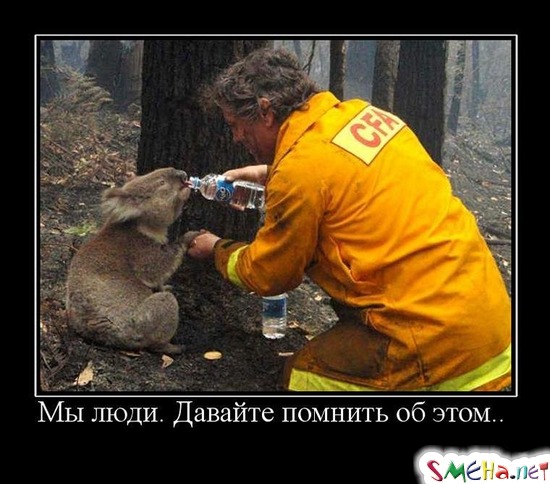 Мы люди. Давайте помнить об этом...