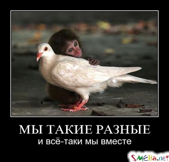МЫ ТАКИЕ РАЗНЫЕ - и всё-таки мы вместе