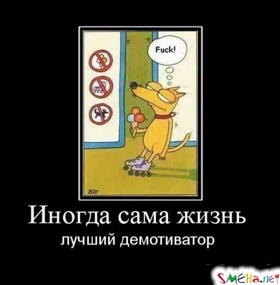 Иногда сама жизнь - лучший демотиватор