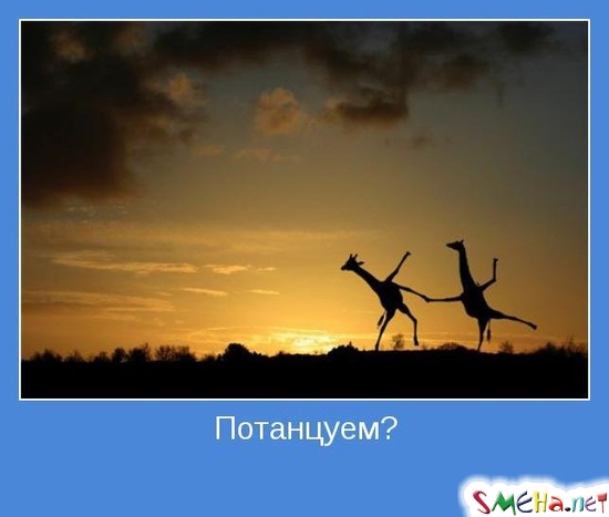 Потанцуем?
