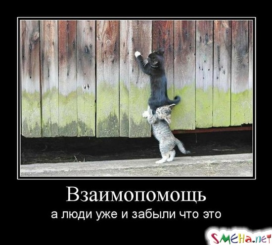 Взаимопомощь - а люди уже и забыли что это