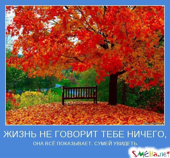 ЖИЗНЬ НЕ ГОВОРИТ ТЕБЕ НИЧЕГО, - ОНА ВСЁ ПОКАЗЫВАЕТ. СУМЕЙ УВИДЕТЬ.
