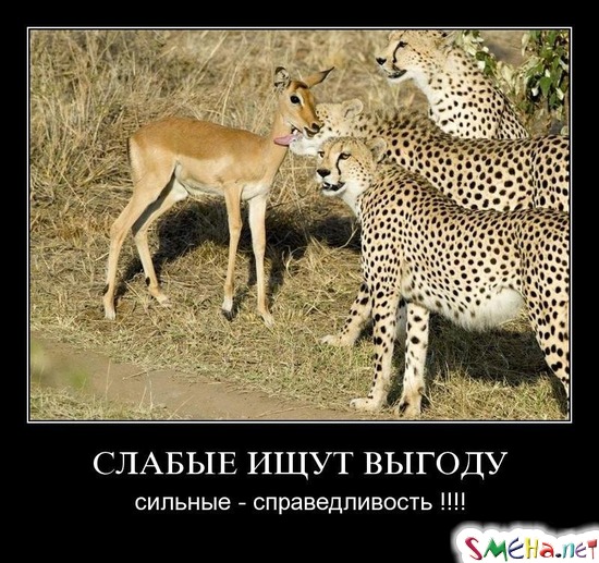 СЛАБЫЕ ИЩУТ ВЫГОДУ - сильные - справедливость !!!!