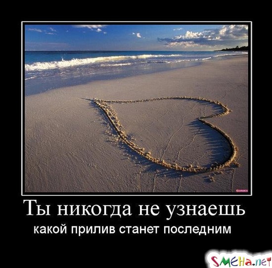 Ты никогда не узнаешь какой прилив станет последним