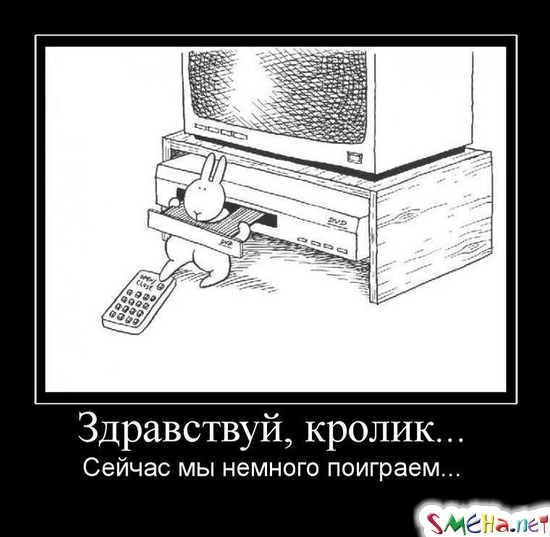 Здравствуй, кролик... - Сейчас мы немного поиграем...
