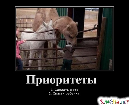 Приоритеты - 1. Сделать фото 2. Спасти ребенка
