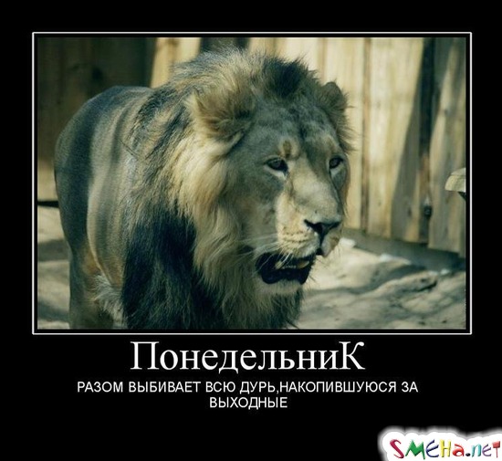 Понедельник - РАЗОМ ВЫБИВАЕТ ВСЮ ДУРЬ,НАКОПИВШУЮСЯ ЗА ВЫХОДНЫЕ