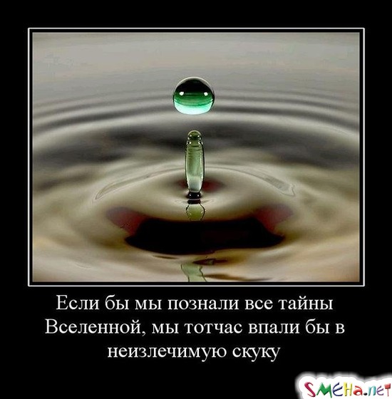 Если бы мы познали все тайны Вселенной, мы тотчас впали бы в неизлечимую скуку