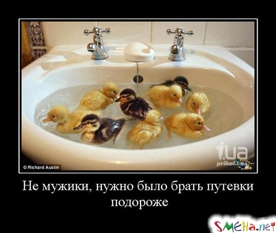 Не мужики, нужно было брать путевки подороже