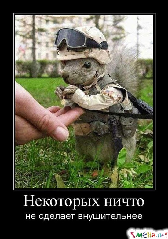 Некоторых ничто - не сделает внушительнее