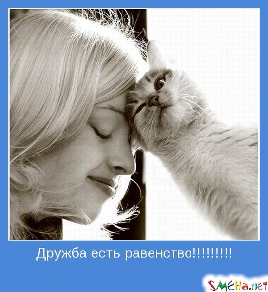 Дружба есть равенство!!!!!!!!!