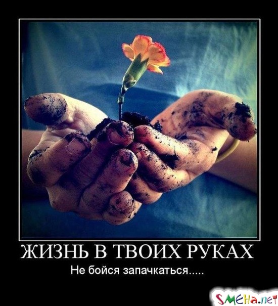 ЖИЗНЬ В ТВОИХ РУКАХ - Не бойся запачкаться