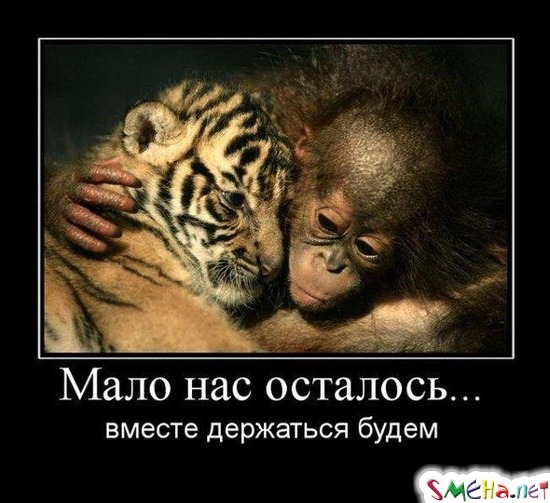 Мало нас осталось... - вместе держаться будем