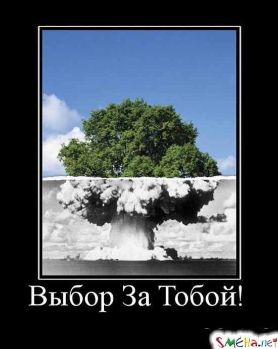 Выбор За Тобой!
