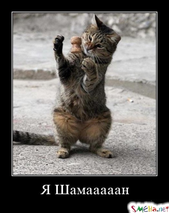 Я Шамааааан
