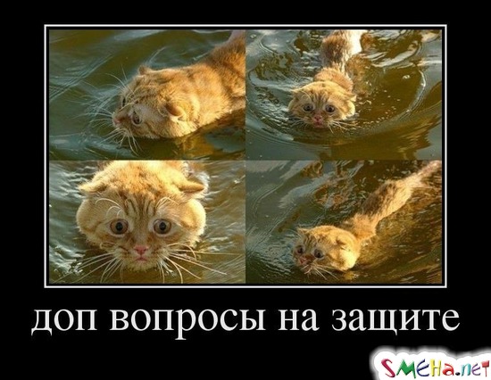 доп вопросы на защите